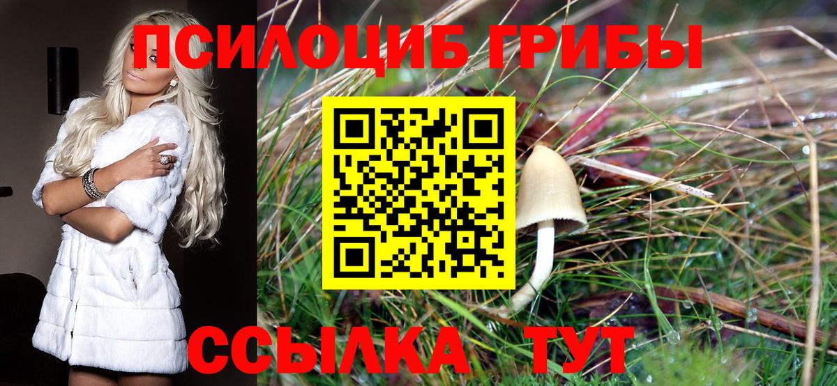 Галлюциногенные грибы мухоморы Красноярск